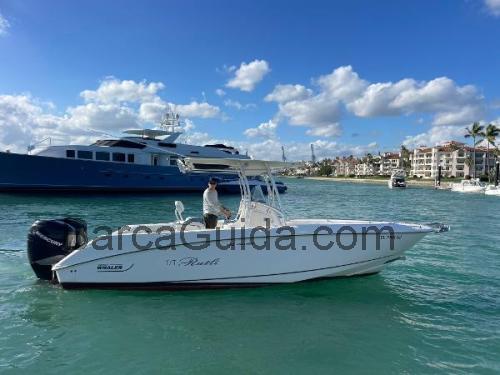 Boston Whaler Outrage 27 scheda tecnica 